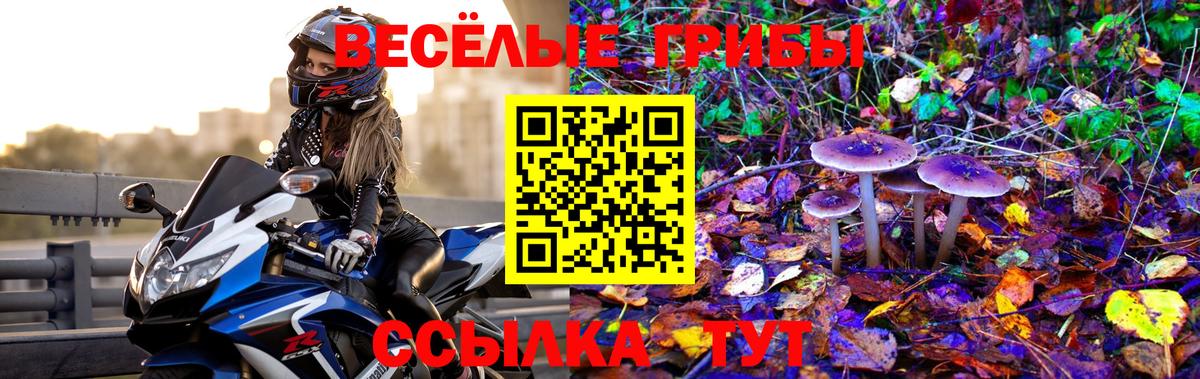 Новокубанск  Галлюциногенные грибы MAGIC MUSHROOMS  где найти наркотики  Галлюциногенные грибы прущие грибы  Вход с VPN 